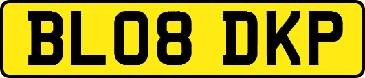 BL08DKP