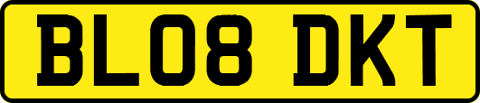 BL08DKT