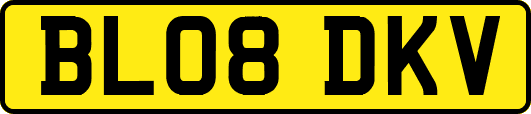 BL08DKV