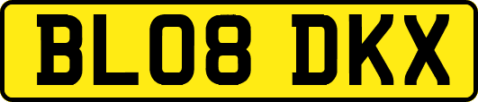BL08DKX