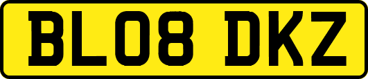 BL08DKZ