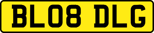 BL08DLG