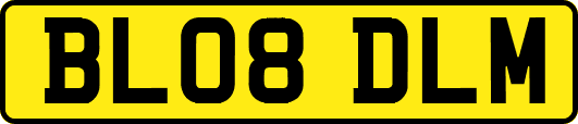 BL08DLM