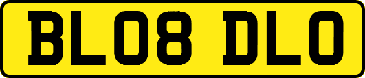 BL08DLO