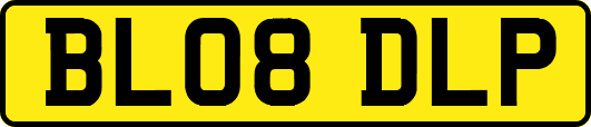 BL08DLP