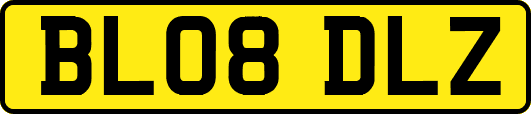 BL08DLZ