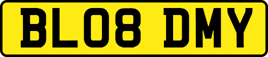 BL08DMY