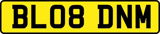 BL08DNM