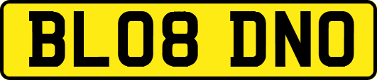 BL08DNO