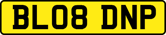 BL08DNP