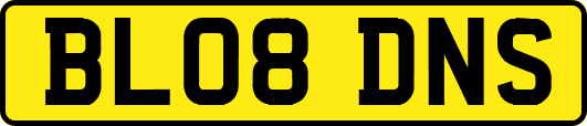 BL08DNS
