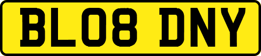 BL08DNY