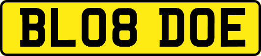 BL08DOE
