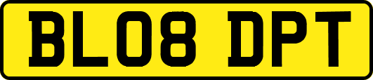 BL08DPT