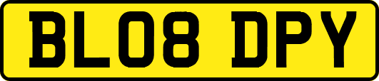 BL08DPY