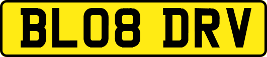 BL08DRV