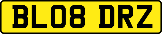 BL08DRZ
