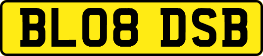 BL08DSB