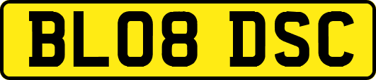 BL08DSC