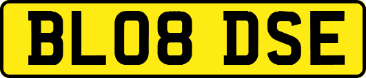 BL08DSE