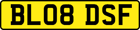 BL08DSF