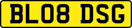 BL08DSG