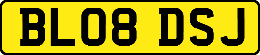 BL08DSJ
