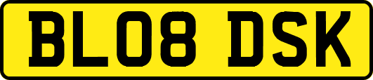 BL08DSK