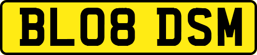 BL08DSM