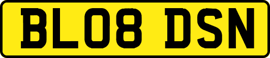 BL08DSN