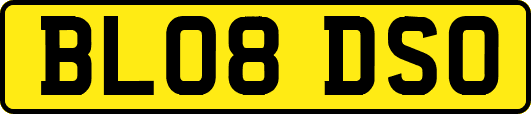 BL08DSO