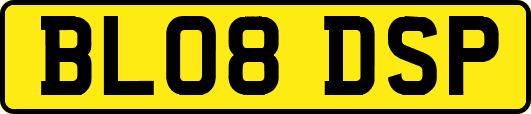 BL08DSP