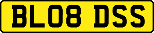 BL08DSS