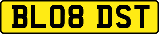 BL08DST