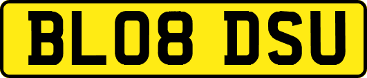BL08DSU