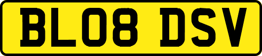 BL08DSV