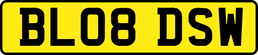 BL08DSW