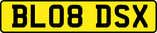 BL08DSX