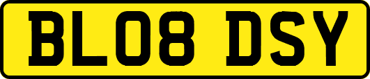 BL08DSY