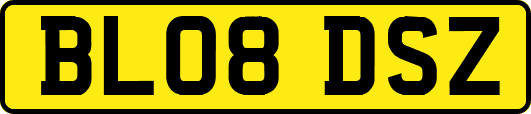 BL08DSZ