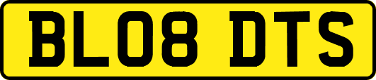 BL08DTS