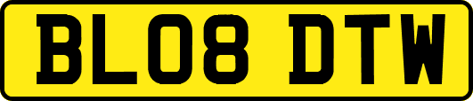 BL08DTW