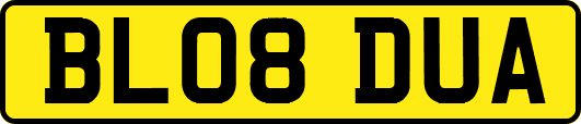 BL08DUA