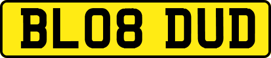 BL08DUD
