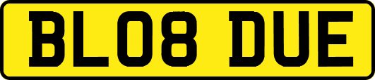 BL08DUE