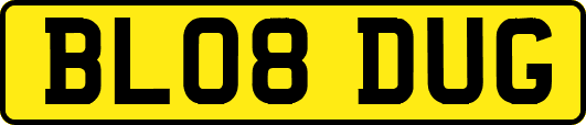 BL08DUG