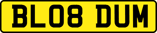 BL08DUM