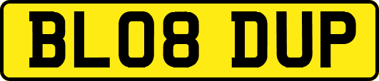 BL08DUP