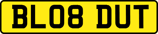 BL08DUT