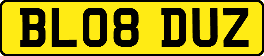 BL08DUZ